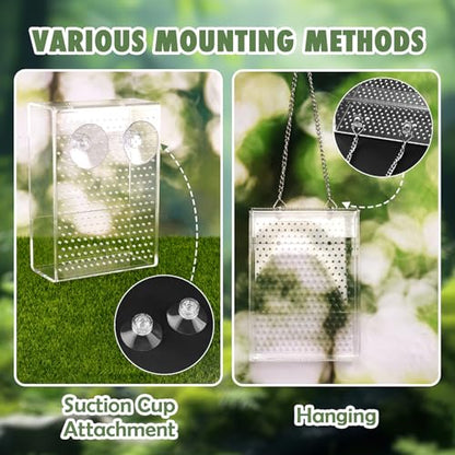 Chameleon Feeder Box with Suction Cups, Acrylic Feeding Bowl for Bearded Dragon, Wall-Mounted Insect Feeder for Lizard, Iguana, Gecko, Frog - color: Clear Feeder Box