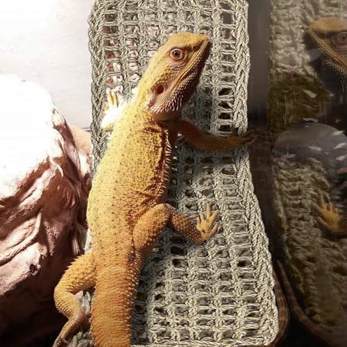 2 Pieces Bearded Dragon Hammock Large Reptile Hammock, Lizard Hammock, Bearded Dragon Climbing Habitat Tank Accessories, Reptile Bridge for Chameleon Hermit Gecko Snakes - style: 1 Rectangle + 1 Square