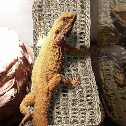 2 Pieces Bearded Dragon Hammock Large Reptile Hammock, Lizard Hammock, Bearded Dragon Climbing Habitat Tank Accessories, Reptile Bridge for Chameleon Hermit Gecko Snakes - style: 1 Rectangle + 1 Square