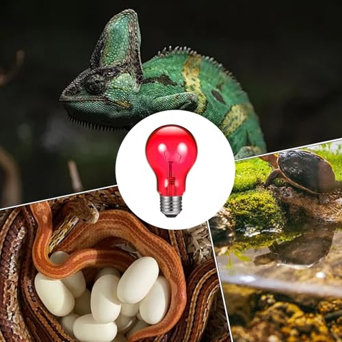 Heat Lamp for Reptiles - Terrarium Chickens Basking Light, 100w UVA Infrared with Aluminum Reflection Dome, Aquarium Brooder Habitat Ceramic Heater, Vivarium Pet Supplies E26 Socket for Lizard - color: Wine Red