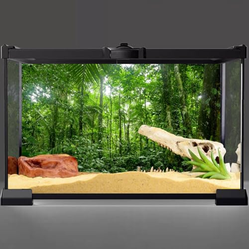 AWERT 36x20 inches Terrarium Background Tropical Aquarium Background Green Huge Tree Rainforest Reptile Habitat Background - size: 36x20in/90x50cm