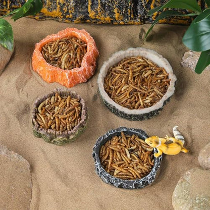 IBWell 2pcs Reptile Water Bowl with Feeding Tweezers - Reptile Food Dish for Lizard, Snake, Tortoise & Small Animals - Wooden Tree Stump