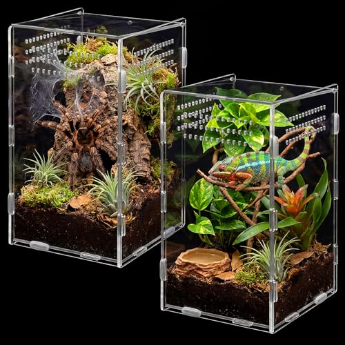 Hushee 2 Pcs Acrylic Jumping Spider Enclosure, 360° Clear Ventilated Reptile Terrarium View, Easy Assembly Secure Pet Habitat, Perfect for Mantis, Frog, Tarantula, Gecko and Small Reptiles