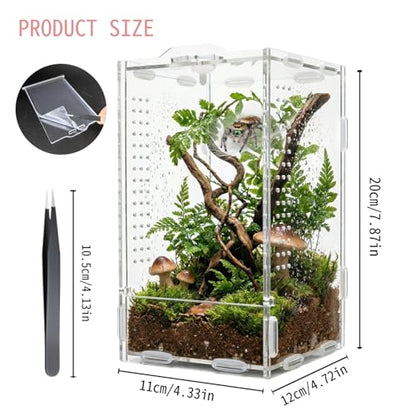 Jumping Spider Enclosure, Acrylic Reptile Terrarium | Tarantula Habitat, Lizard Box, Mantis Bug Cage