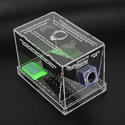 Acrylic Cricket Feed Box with Observation Window for Reptile Terrarium Insect Care Kit, Non-Toxic Material for Easy Cleaning, Tank Box for - size: S