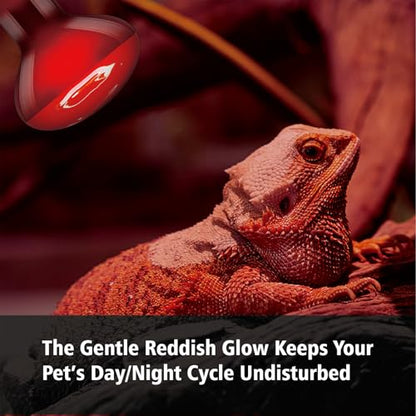 Reptile Heat Lamp Bulb 100W, 2-in-1 Infrared & UVA Sunlight Combo for Day & Night Basking – Perfect for Reptile Terrariums, Bearded Dragon, Snake, Turtle, Lizard - color: Red + White