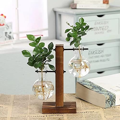 Plant Propagation Station, Plant Terrarium Vase Hydroponics Plant Holder, Indoor Plant Stand, Terrarium Kit for Hydroponics Plants Home Decor, Plant Lover Gifts 2 Bulb Vase - color: C