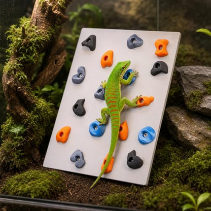 Junkin Reptile Rock Climbing Wall with Climbing Grips, 9.8 x 7.9 Inches Terrarium Enclosure Habitat Decor Reptile Tank Enrichment Accessories for Bearded Dragons, Geckos, Lizards & Snakes