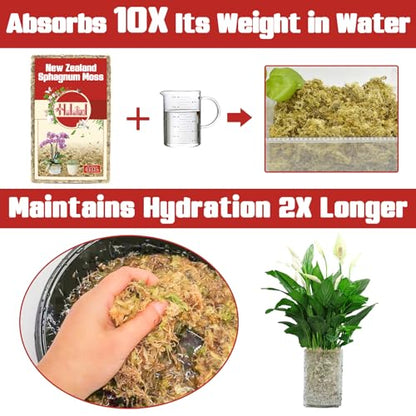 Halatool Premium New Zealand Sphagnum Moss, 100g(8L When Hydrated), for Orchid Repotting Succulent Sarracenia Potted Plants Gardening & Reptiles - size: 8L