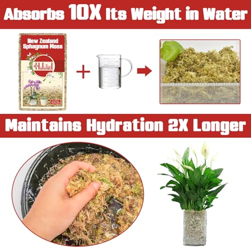 Halatool Premium New Zealand Sphagnum Moss, 500g(40L When Hydrated), for Orchid Repotting Succulent Sarracenia Potted Plants Gardening & Reptiles - size: 40L