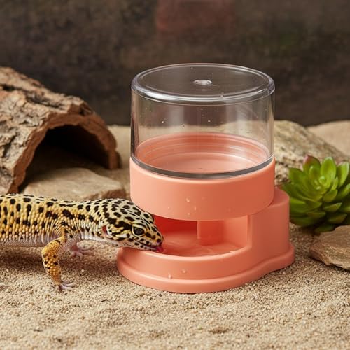Terrarium Tank Reptile Food Feeders Bowl, Water Feeder Automatic Water Dispenser Waterer Feeding Accessories, Small Water Dish for Tortoise - Bowls for Reptiles & Amphibians (Pink) - color: Pink