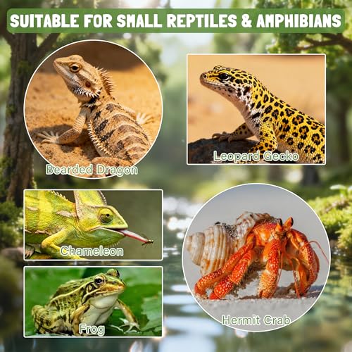 Reptile Food & Water Feeder, Escape Proof Feeding Bowl with Removable Stainless Steel Dish for Mealworms