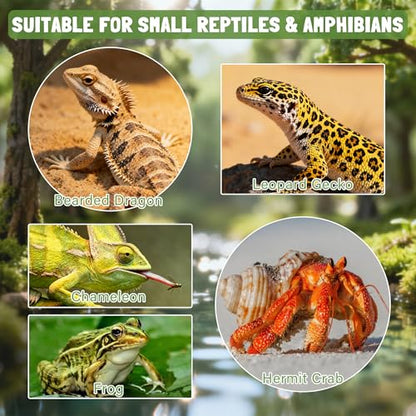 Reptile Food & Water Feeder, Escape Proof Feeding Bowl with Removable Stainless Steel Dish for Mealworms