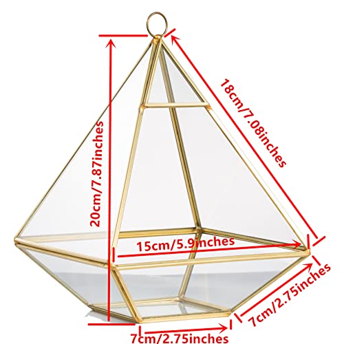 NCYP Geometric Glass Terrarium for Succulent, Air Plants - 5.9x5.9x7.87 Inches - Wall Hanging Glass Planter Pot, Home Garden Tabletop Decoration, Gold (Terrarium Only)