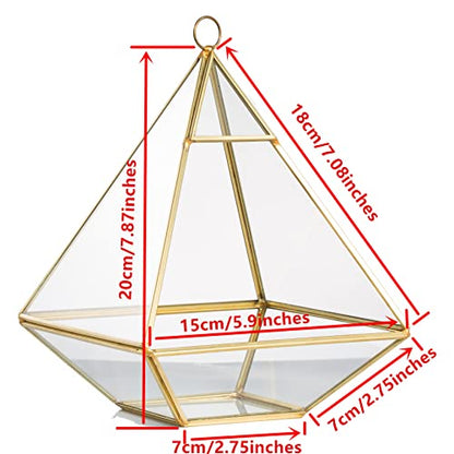 NCYP Geometric Glass Terrarium for Succulent, Air Plants - 5.9x5.9x7.87 Inches - Wall Hanging Glass Planter Pot, Home Garden Tabletop Decoration, Gold (Terrarium Only)