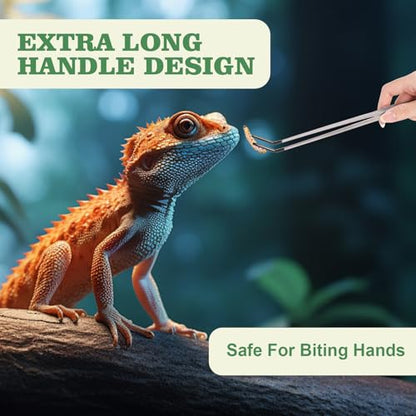 3Pcs Reptile Feeding Tool Set, 2 Tipped Tongs and 1 Feeding Spoon, Stainless Steel Crested Gecko Feeding Spoon for Geckos, Lizards, Bearded Dragons, Small Animals (Silver) - color: Feeding Set Silver