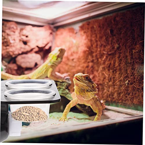Turtle Tank Accessories Gecko Snake Reptile Feeder Feeding Ledge Easy Install Suction Cup Design