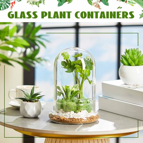 1 PC 5.9 x 7.9 Inch Glass Terrarium Dome Cloche with Air Hole & Glass Base, Clear Terrarium Containers Ventilated Plant Humidity Dome for Carnivorous Plants Orchids Tropical Cuttings, No Leakage - size: 5.9 x 7.9 Inch