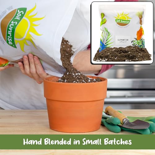 Soil Sunrise Elephant Ear Potting Soil Mix (8 Quarts) Colocasia and Alocasia Potted Plant Blend