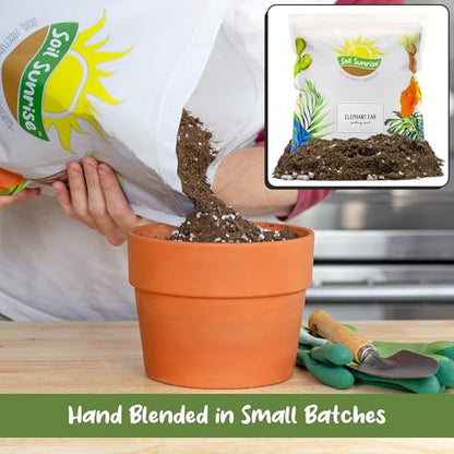 Soil Sunrise Elephant Ear Potting Soil Mix (8 Quarts) Colocasia and Alocasia Potted Plant Blend