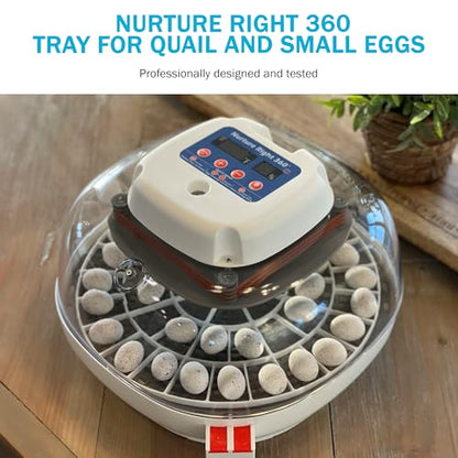 Egg Trays for 48 Small Quail/Bird Eggs - Durable Egg Tray for Nurture Right 360 Egg Incubator - Hand Washable Eggs Keeper for Chicken Goose Turkey Emu - size: 12.3"L x 12.3"W x 0.7"H
