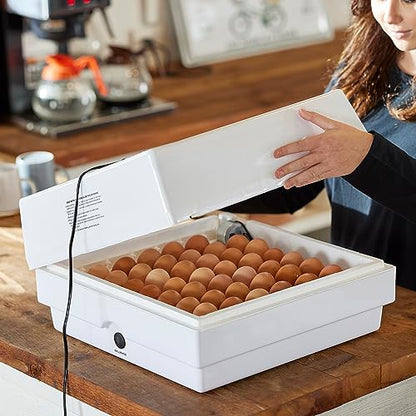 Farm Innovators 41 Egg Digital Circulated Air Incubator w/Auto Turning & Humidity Control - Automatic Incubating Machine for Hatching Chicken Eggs and Poultry Farming