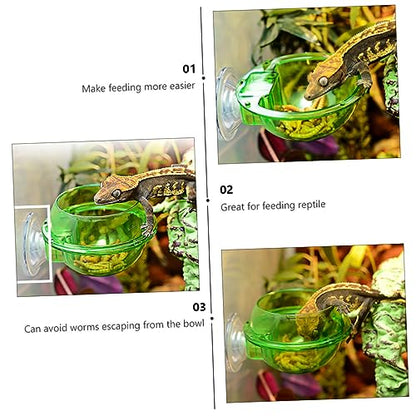 HEMOTON 4Pcs Lizard Feeder Bowl with Suction Cup Escape Design for Reptiles Easy to Stable Pet Dish for Food and Water for Bearded Dragons Geckos Frogs