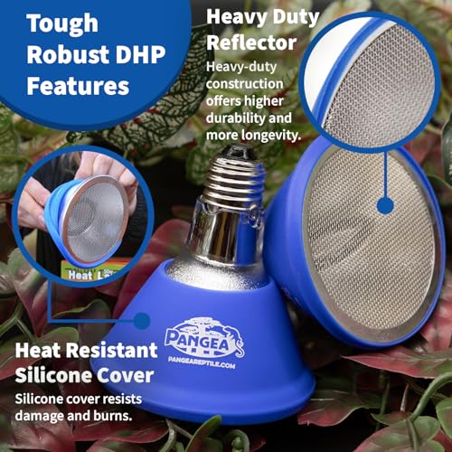 Pangea 50W Deep Heat Projector for Reptiles with Carbon Fiber Filament, Core Warming Infrared A and B Bulb for Basking Lizards, Designed for Ceramic Sockets (50 Watt)