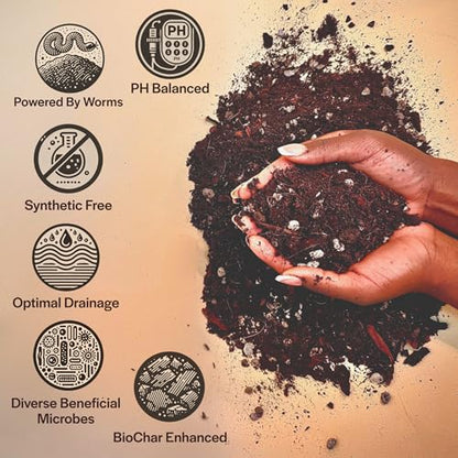 Craft Aroid Potting Mix- Elite Alocasia, Philodendron, Monstera Soil Mix, Chunky, Well Draining Potting Soil for Indoor Plants, All Tropical Plants & Houseplants, Peat Free 12QT - size: 12 Quart