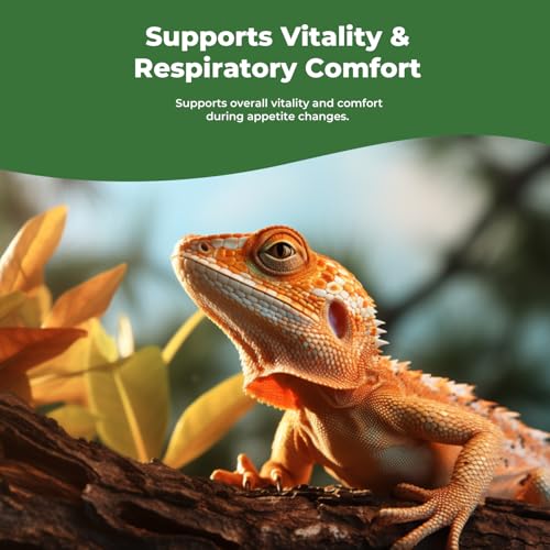 Herbal Reptile Supplement, Daily Wellness Drops for Immune, Appetite, Digestion & Respiratory Health Support, Liquid Support for Geckos, Lizards & Companion Reptiles