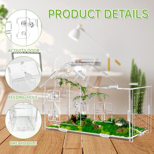 Acrylic Jumping Spider Enclosure, Jumping Spider Terrarium, Versatile Reptile Enclosure for Tarantula, Gecko, Hermit Crab Tank - color: transparent-A
