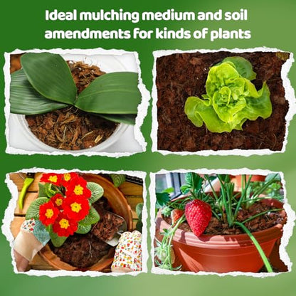 Doter Coco Chips Substrate 1.1 LB, Organic Coconut Husk Brick with Low EC and pH Balanced, Easy to Expand Coco Coir Mulch Medium for Garden Flowers & Reptile Bedding (1 Pcs)