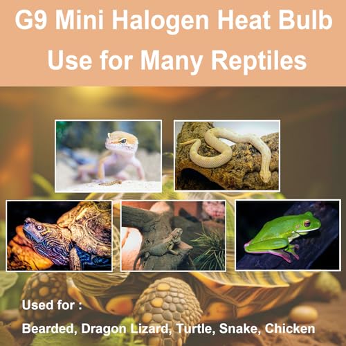 G9 Heat Lamp Bulbs for Reptile,Day Blue, Mini Halogen Bulb 50W, Infrared Reptile Heat Lamp for Bearded Dragon Gecko Turtle Lizard, Pack of 2 - size: 50W-2Pcs