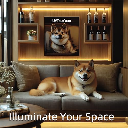 LED Strip Lights 24V COB Warm 3000K 16.4ft/5M (No Power Supply) | Super Bright, Dotless High Density 14W/m, 8mm Width Cuttable Flexible, Home DIY & Commercial Lighting - color: Warm 3000K (Only LED Strip)