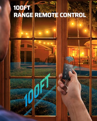 DEWENWILS Outdoor Dimmer for String Lights, 125V, 100FT Remote Control Range, Waterproof Plug- in Dimmer for Dimmable LED/Tungsten Bulbs - size: Dimmer with 2 outlets