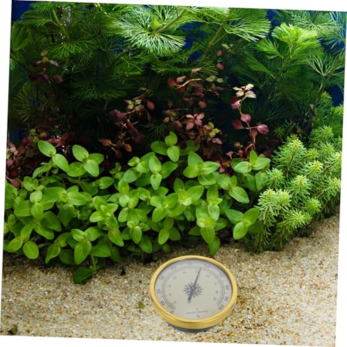 Golden with 2% Rh Resolution Hygrometer Round Analog Stainless Steel and Glass Construction, Battery-Free, Easy for Reptile Terrarium and Room Use