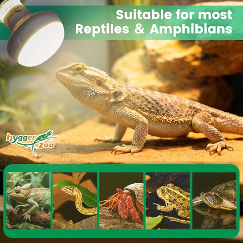Reptile Heat Lamp Bulbs 100W (2-Pack) – Efficient Heating & Simulated Sunlight Basking Light for Amphibians, Bearded Dragon, Lizard, Turtle, Chicken – E26 Base - color: White, size: 100W