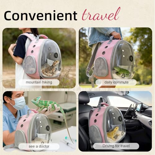 Bearded Dragon Travel Backpack Carrier with Reptile Thermometer and Humidity Gauge Lizard Travel Cage Space Capsule Clear Bubble Window Astronaut Reptile Bag for Ball Python (Pink, Backpack+PG LSH) - color: Pink, size: 12.0"L x 7.0"W x 12.0"H