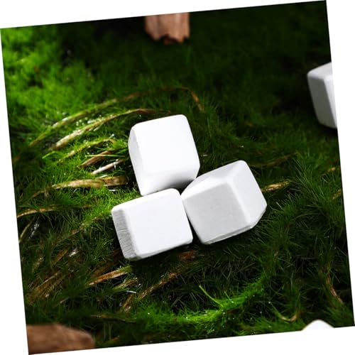 UKCOCO 30pcs Natural for Tortoise Frog Chameleon for Reptile Growth Enhances Water Quality Vitality for Reptiles and Amphibians