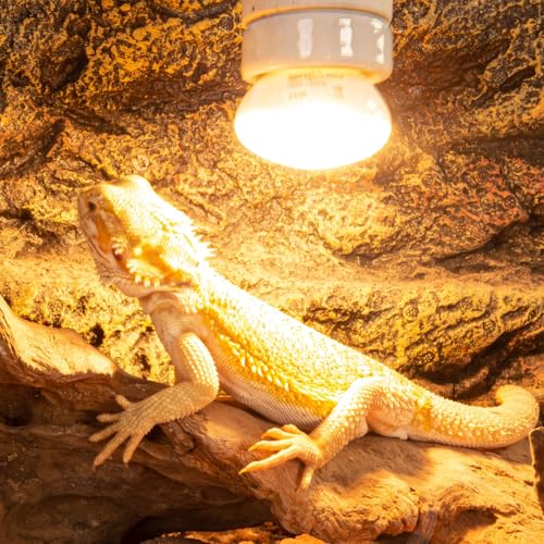 REPTI ZOO 25W Upgraded Nano Reptile Daylight Basking Spot Heat Lamp Bulb 2 Pack, UVA Full Spectrum Sun Light Daytime Heating Lamp for Reptile