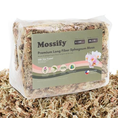 Mossify Premium Sphagnum Moss for Plants 50g, 1.8 Oz - Long Fiber Moss for Plants Indoor, Orchids, Terrariums, Gardening, Reptiles – Moisture Plant Moss for Propagation, Soil & Habitat Bedding - size: 50g (1.8 oz)