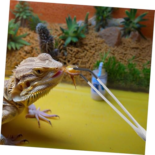 POPETPOP 2pcs Stainless Steel Feeding Tongs with Protective Rubber Tips for Reptiles of Curved Handle Aquarium Tweezers for Snakes Lizards and Aquatic Plants