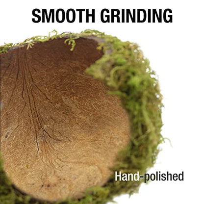 Hamster Hideout - Large, Natural Moss, Handcrafted for Syrian Hamsters, Rats & Guinea Pigs, Safe & Eco-Friendly - size: Cave, Large