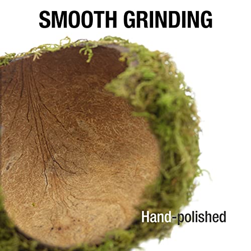 Hamster Hideaway/Hideout,Mossy Cave Hide,Hamster House/Hides,Hamster Cage Accessories for Gguinea Pig/Hedgehogs/Gliders/Rats/Mice and Other Small Animals (Small) - size: Cave, Small