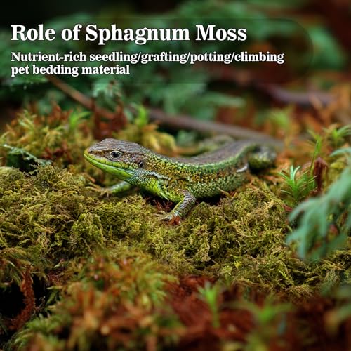 Sphagnum Moss for Reptiles - 5.5 OZ Reptile Peat Moss Terrarium Bedding Reptiles Lizard Substrate for Reptile Tank, Snake, Leopard Gecko, Ball Python, Crested Gecko, Turtle, Frog, Hamster
