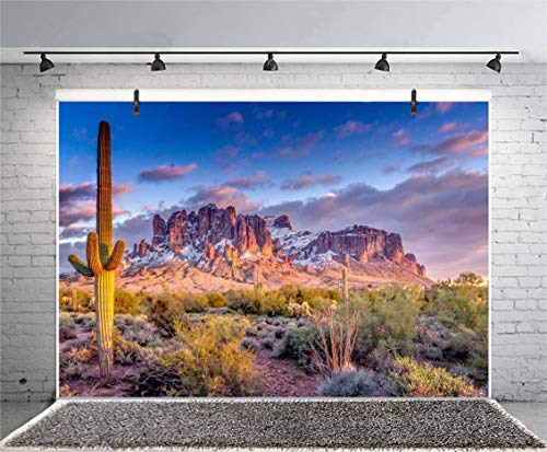 Leyiyi 6x4ft Arazona Mountain Cactus Photography Background Desert Sunset Summit Western American Travel Hiking Desert Flora Cloud Desolate Cowboy Polyester Backdrop Terrarium Background - color: Desert1, size: 6x4ft-P