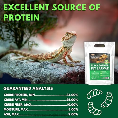 Black Soldier Fly Larvae, Bearded Dragon Food, Bugs for Reptiles, Worms for Geckos, Insect Protein, Baby Bearded Dragon Food, Made in USA, 5 lbs - size: 5 Pound (Pack of 1)