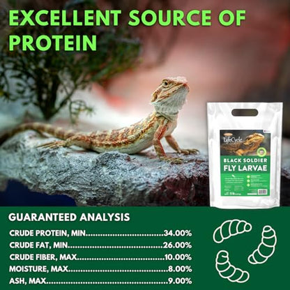 Black Soldier Fly Larvae, Bearded Dragon Food, Bugs for Reptiles, Worms for Geckos, Insect Protein, Baby Bearded Dragon Food, Made in USA, 5 lbs - size: 5 Pound (Pack of 1)