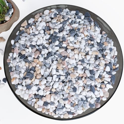 2.5 lbs Small Rocks for Succulents, 1/5 Inch Pebbles for Indoor Plants, Decorative Pea Gravel for Terrarium, Vases, Aquariums, Fish Tank, Drainage Rocks for Potted Plants, Bamboo,Crafts, Cactus - color: Mixed