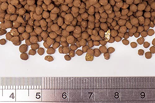 Ultum Nature Systems Controsoil - Freshwater Aqua Soil Substrate for Fish, Shrimp, Live Plant Propagation and Aquascaping - 6.8pH Low Ammonia, Volcanic Ash - Brown, Fine (3 Liter) - color: Brown - Fine, size: 3 Liters (2.7 kg)